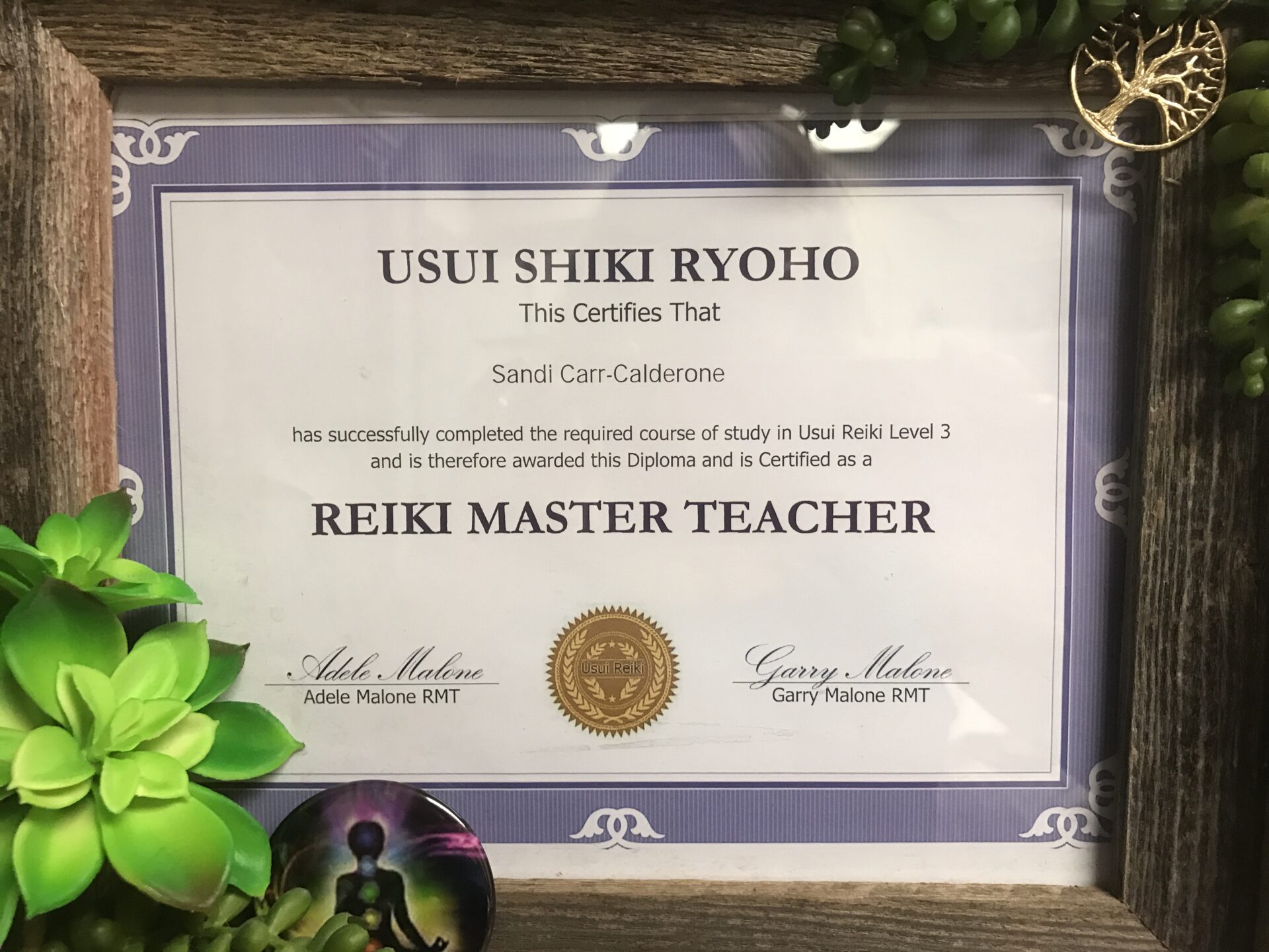 USUI SHIKI RYOHO certificate